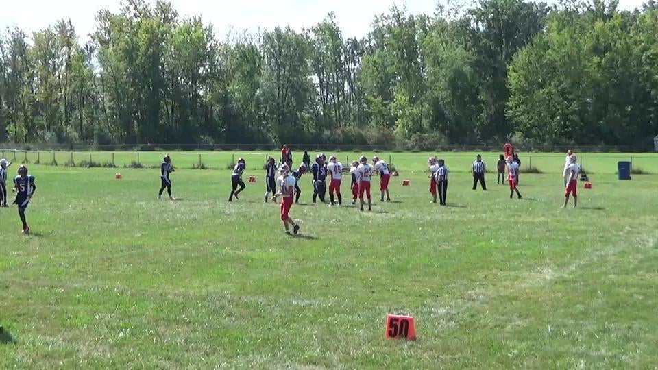 Newton and Dufty TFL vs Madison