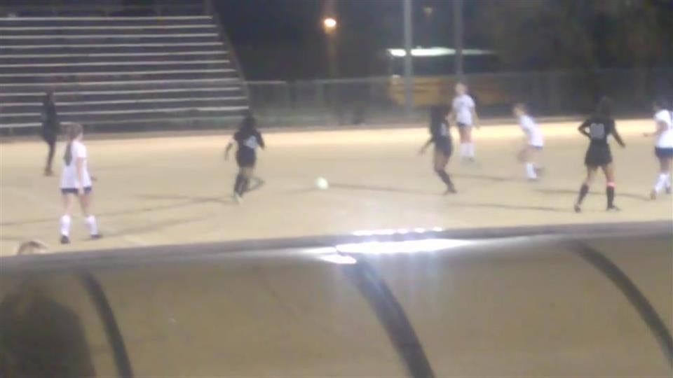 Aniya and Lady Wolves