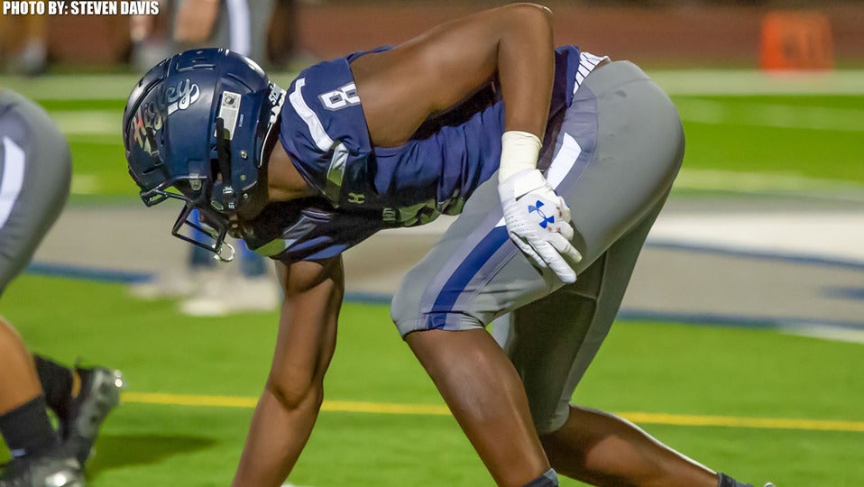 Jason Harris - 2019 Highlights