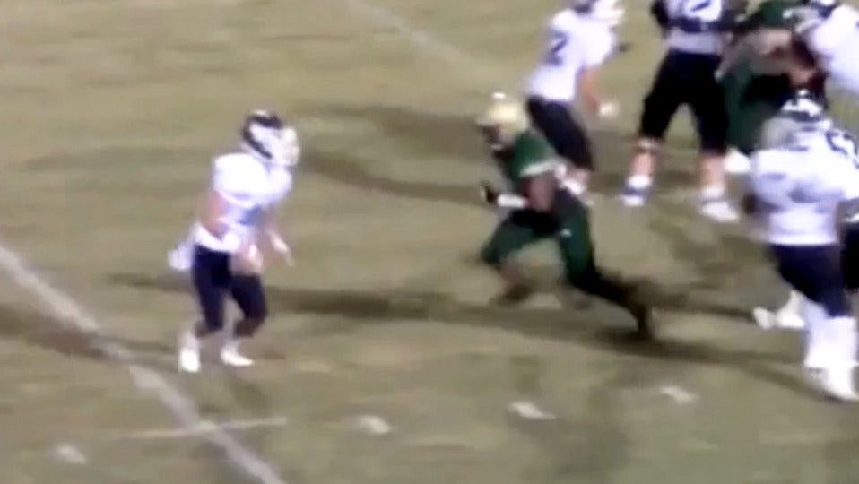 Thaos Figaro - 2019 Highlights