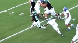 Julian Dedman - 2019 Highlights