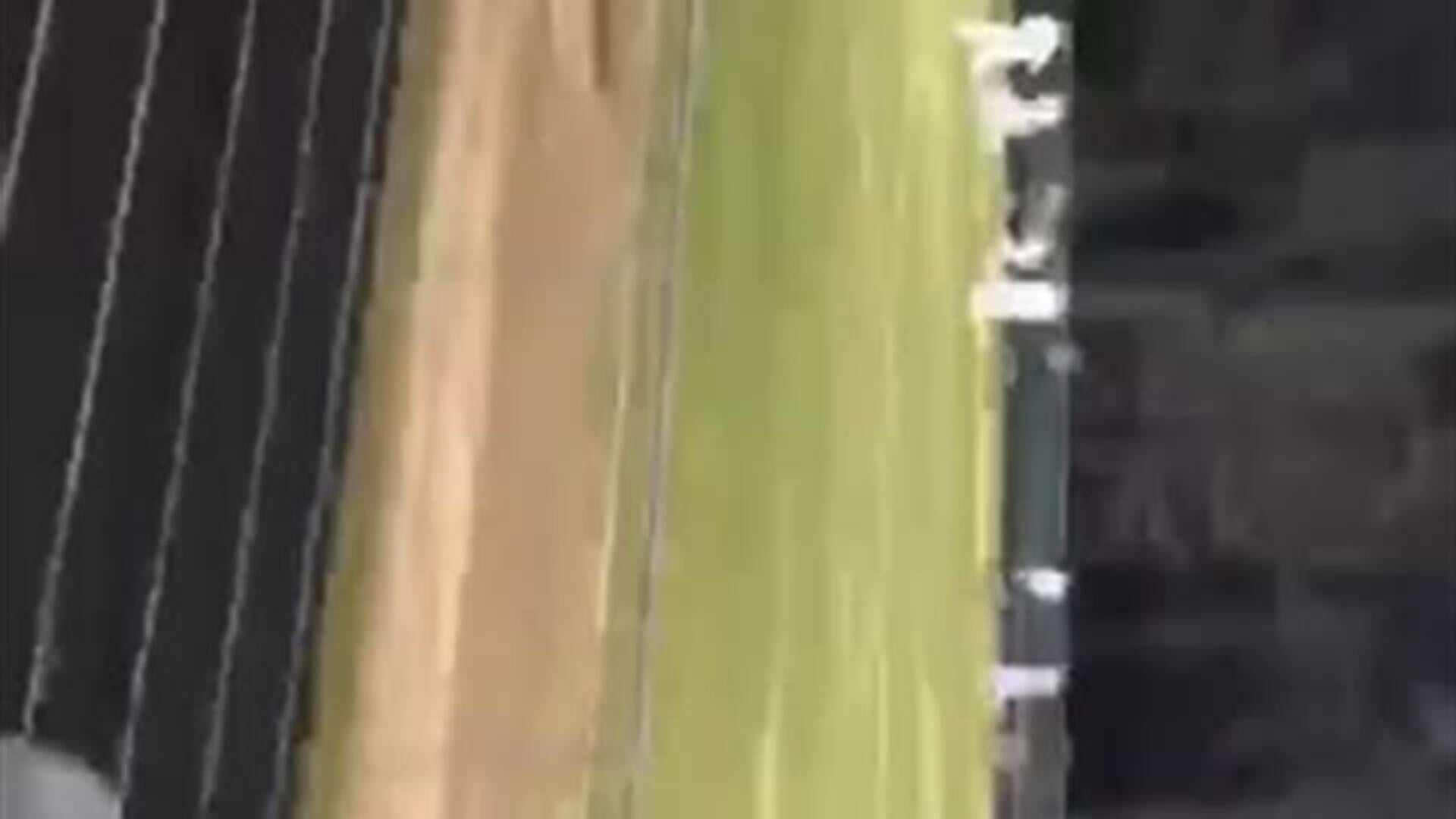 Bryan D. Goal vs. BHP