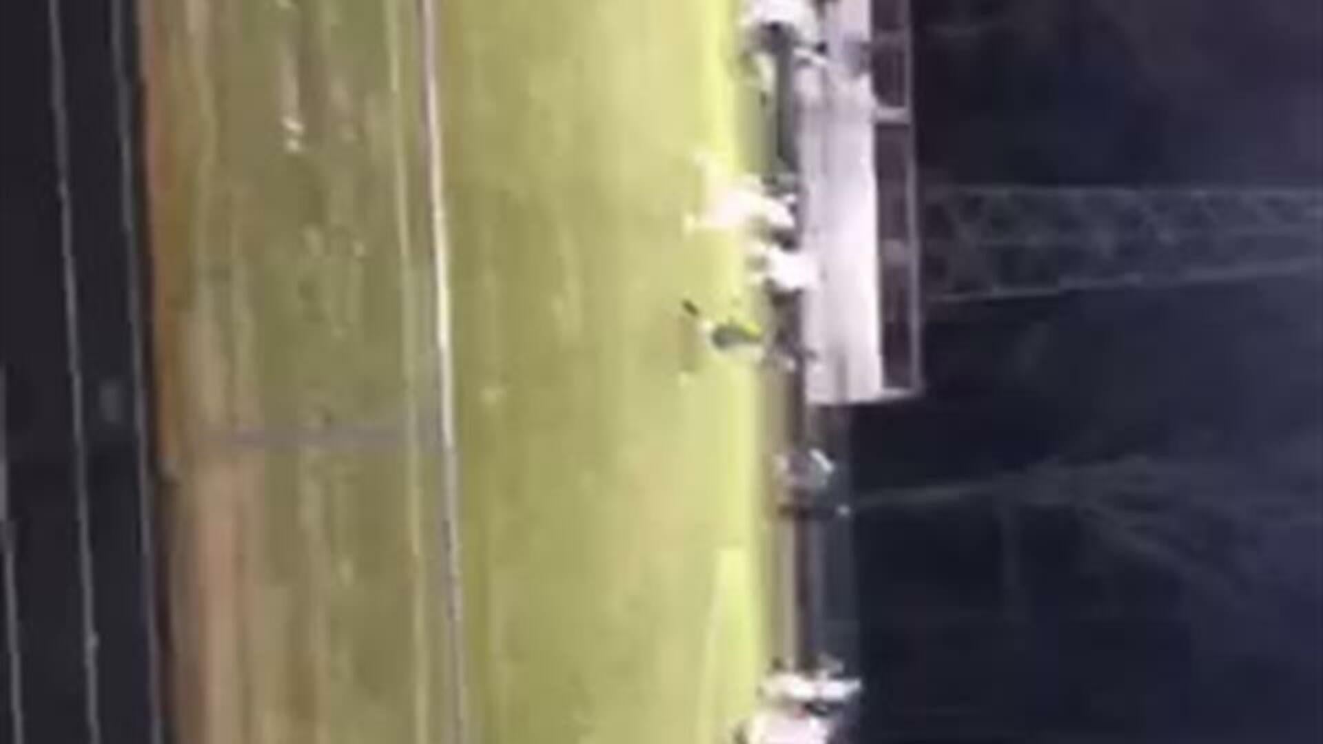 Bryan D. Goal vs. BHP