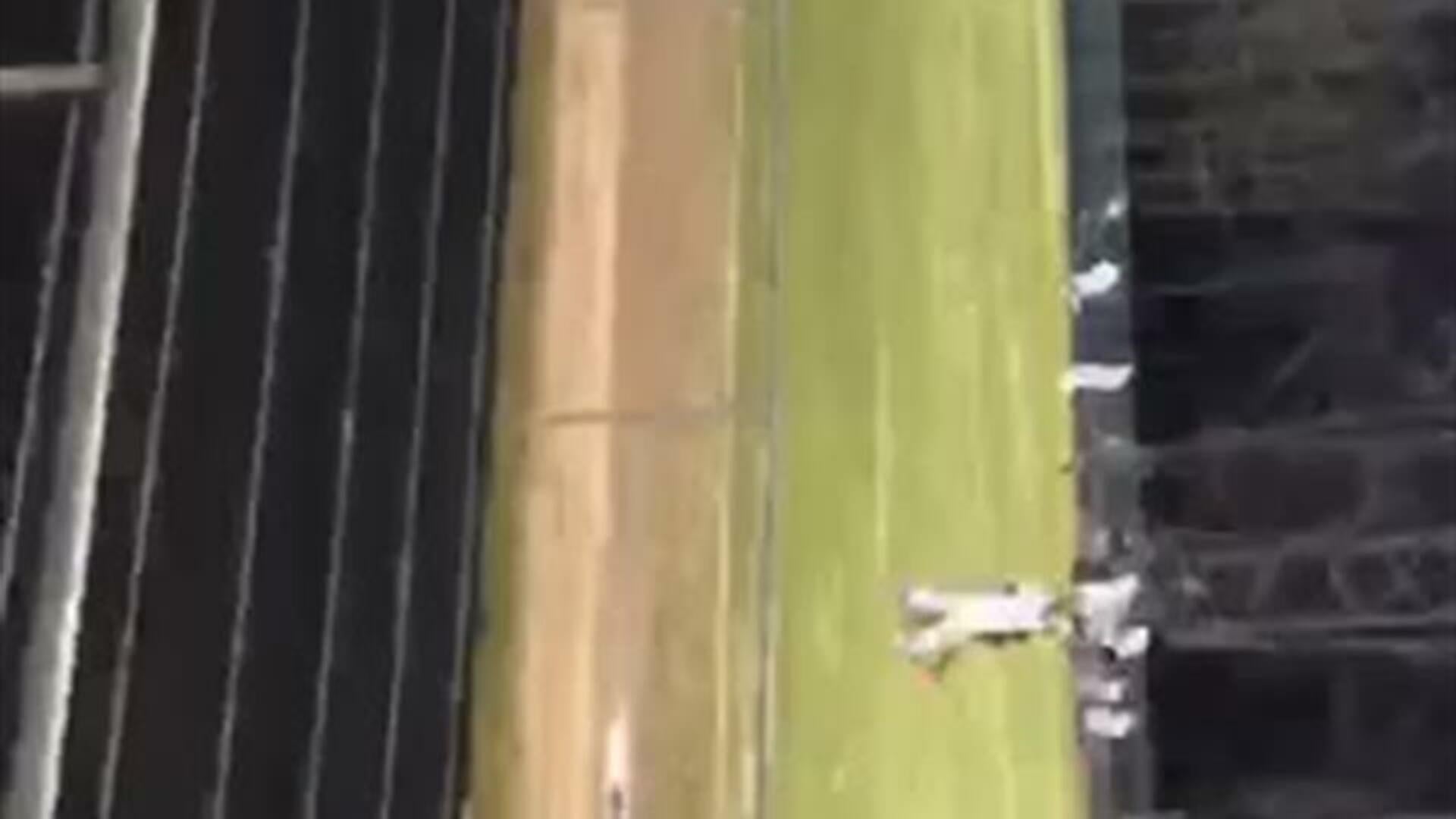 Hadden M. Goal vs. BHP