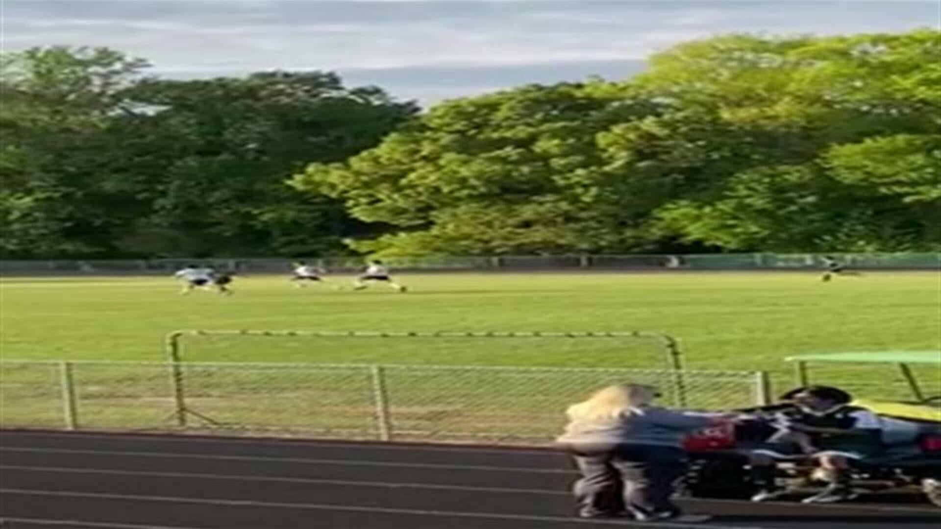 Bryan D. Goal vs. Gaffney