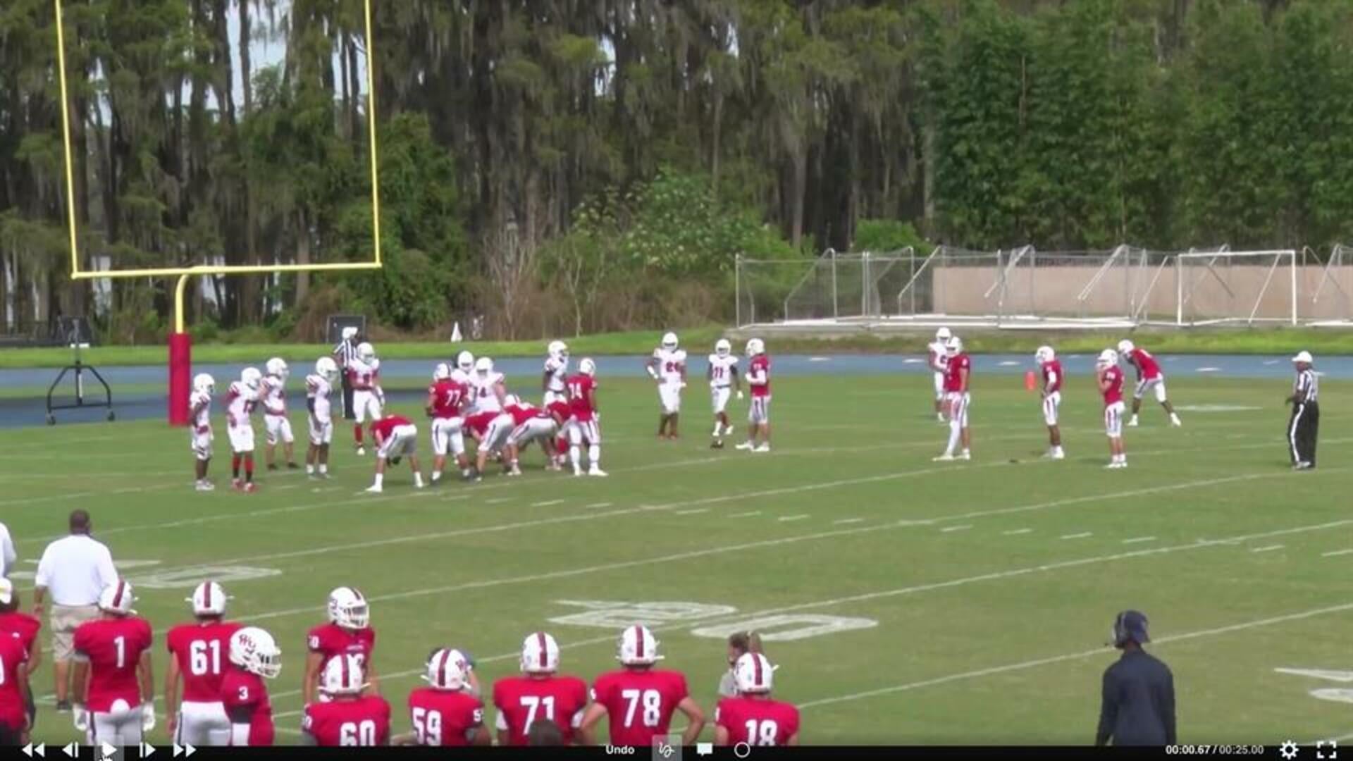 Oliver Cowin Kicking Lake Highland