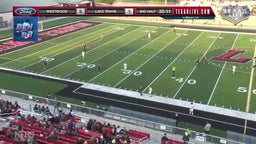 Play making by Ben Paranidharan: LTHS vs Westwood (Bi-District playoff)