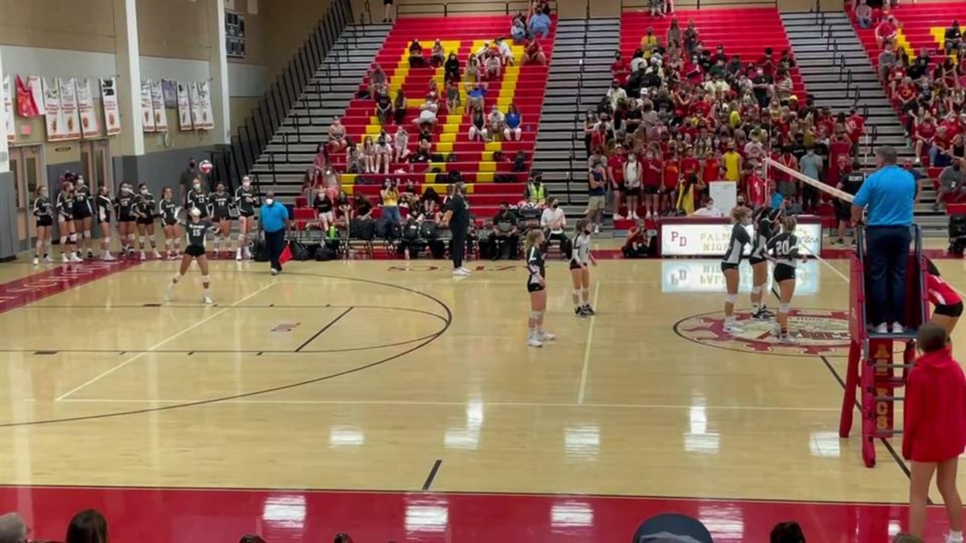 Domenique Romano - Libero #8