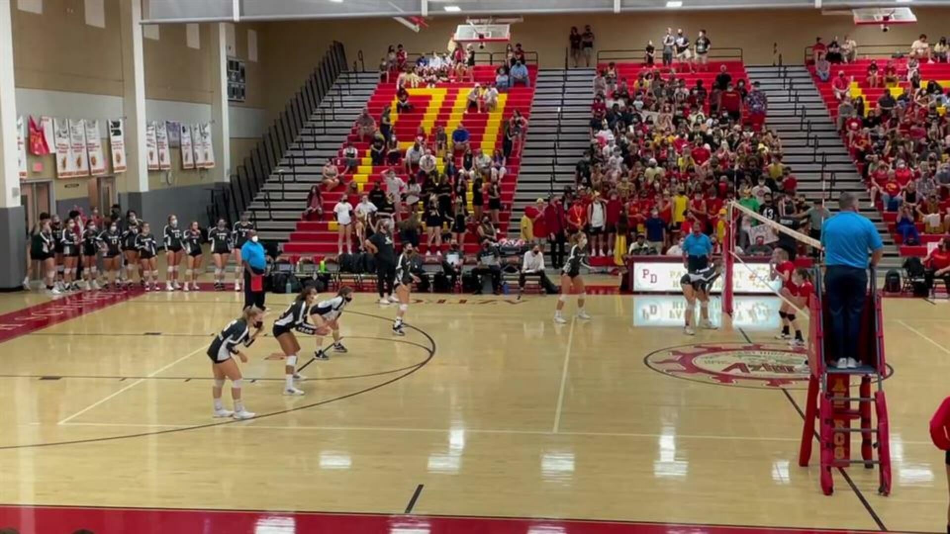 Domenique Romano - Libero #8