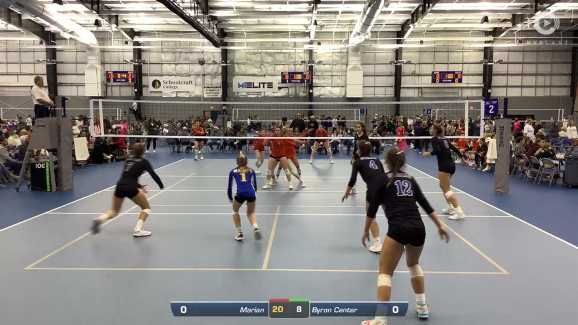 Ava Sarafa - Setter - v Byron Center