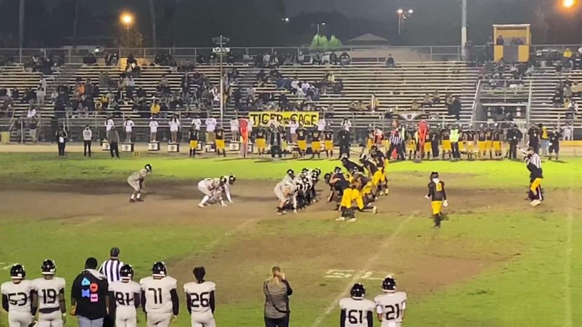 Pythons Strike Again