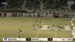 HIGHLIGHTS: Saguaro upsets No. 11 Hamilton in Arizona Open Division semifinals