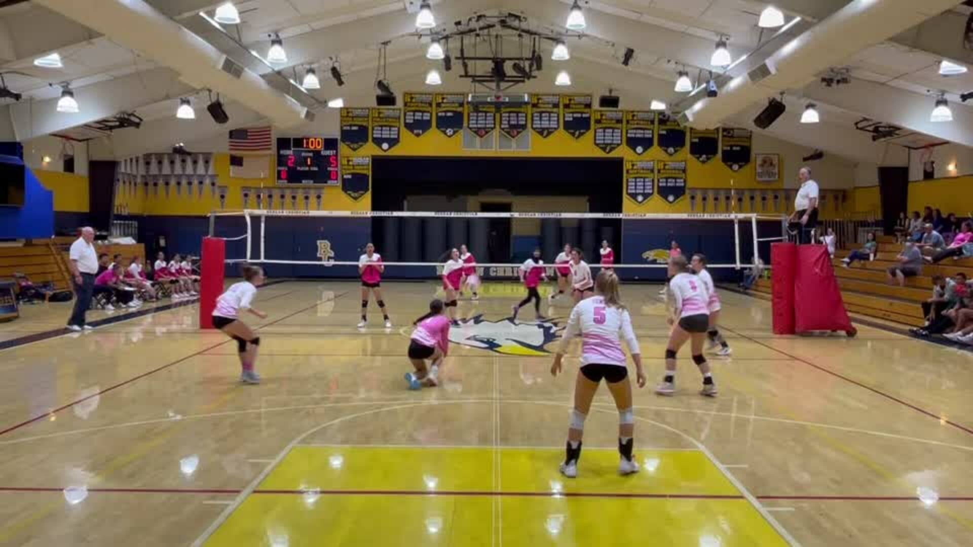 Rebeca Freitas - Dig Pink Highlights