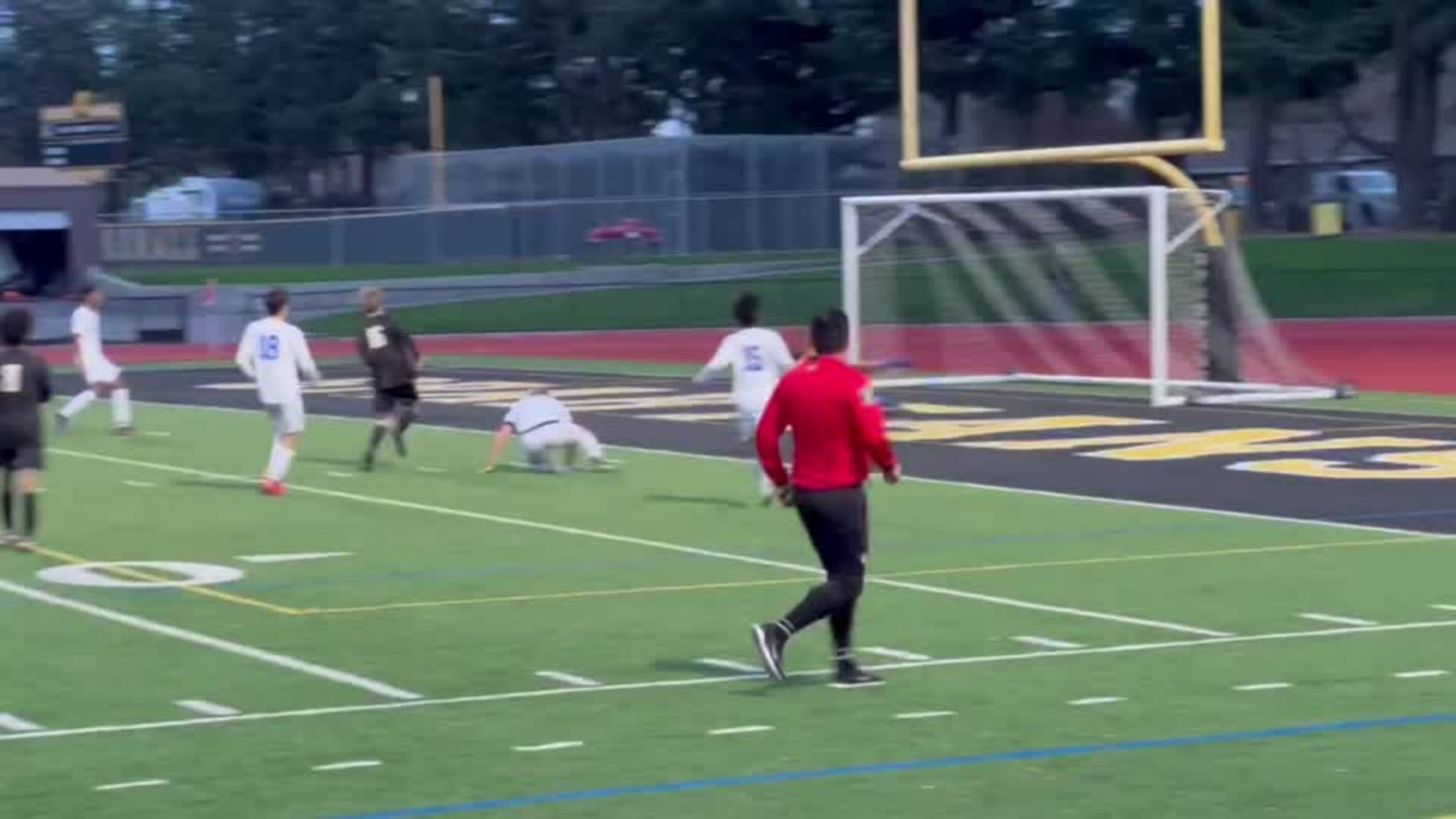 Mountain View cs Los Altos goal 3