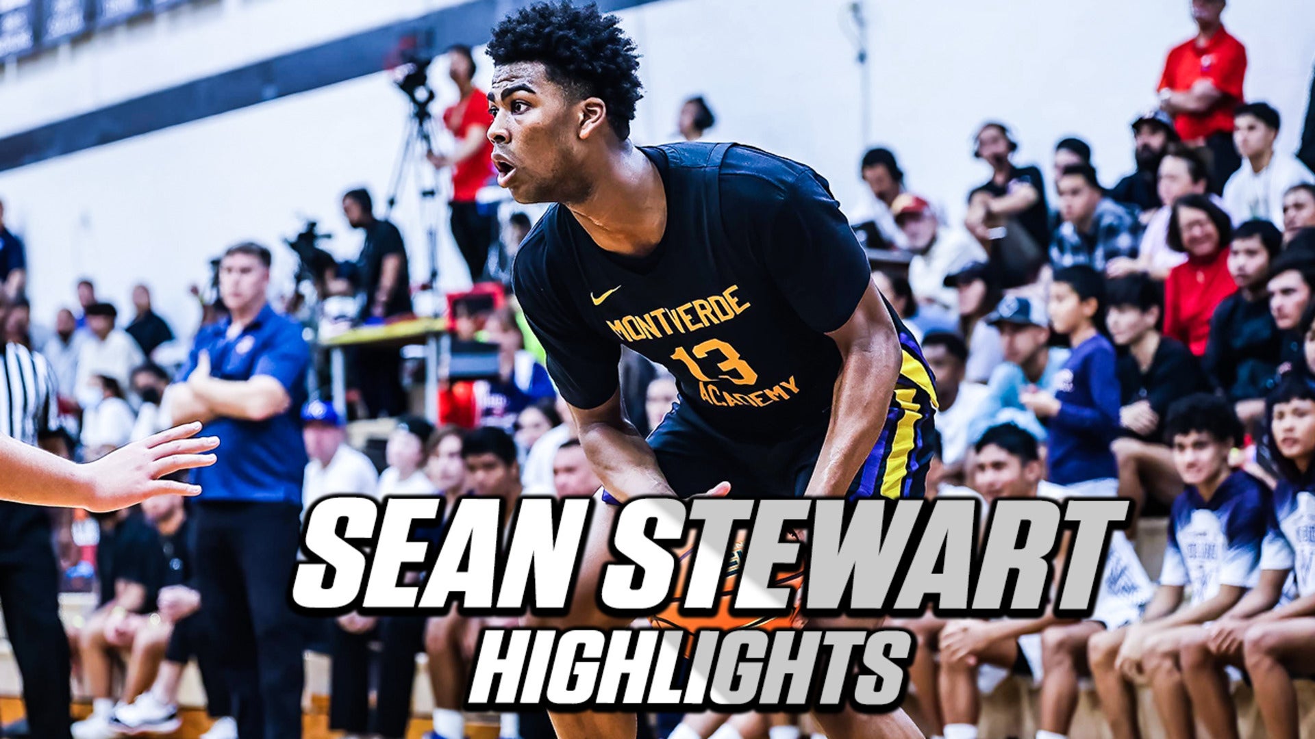 Sean Stewart Highlights