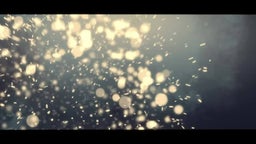 2023 Week 8 Highlights