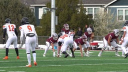 Jayden Michaelis TD