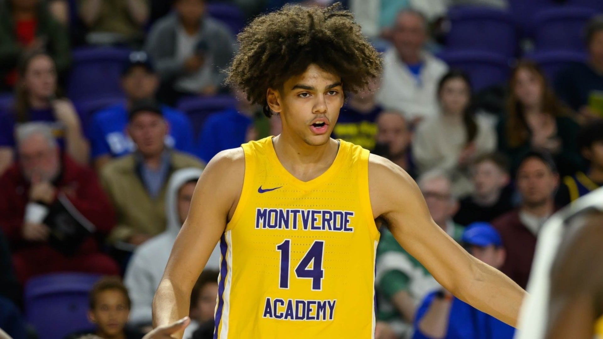 Asa Newell high school basketball highlights