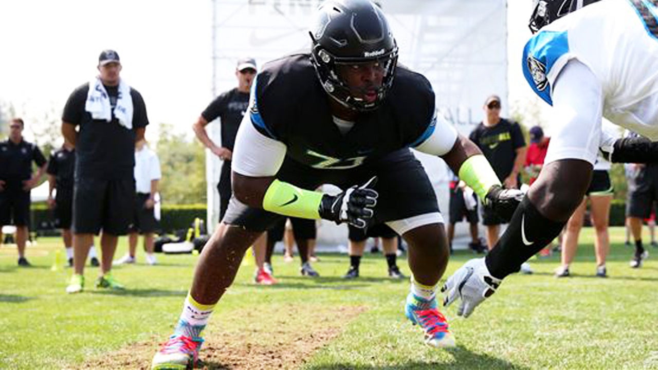 Calvin Ashley - Ultimate Highlights