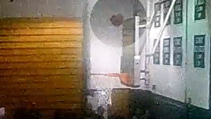 Steinert (Hamilton, NJ)
Lynzie Morgan