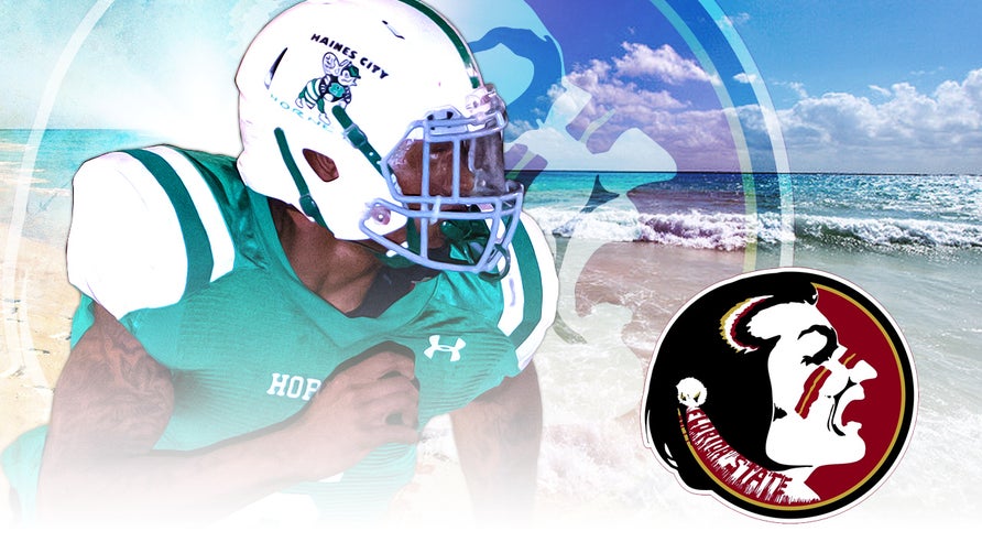 The top 10 plays from 2015 Florida State commits.