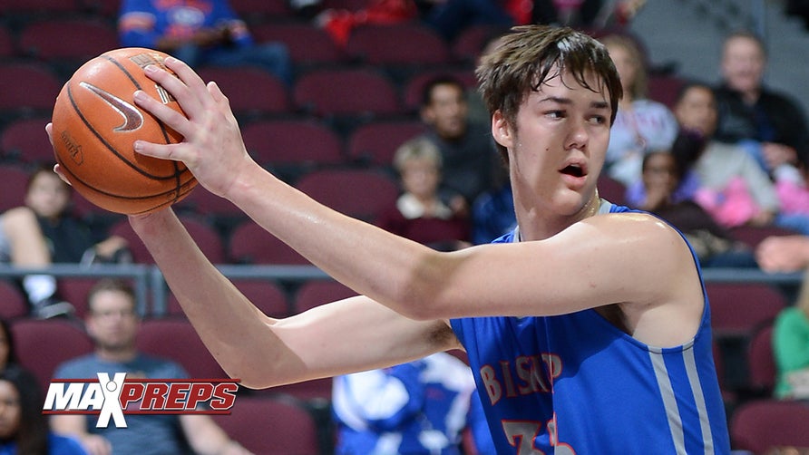Basketball Players over 7 Foot featuring Zach Brown, Stephen Zimmerman and Tacko Fall.