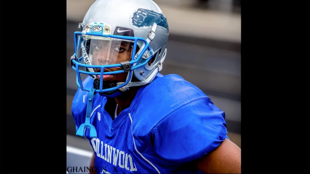 DeShaun Wilson 2015 Highlights