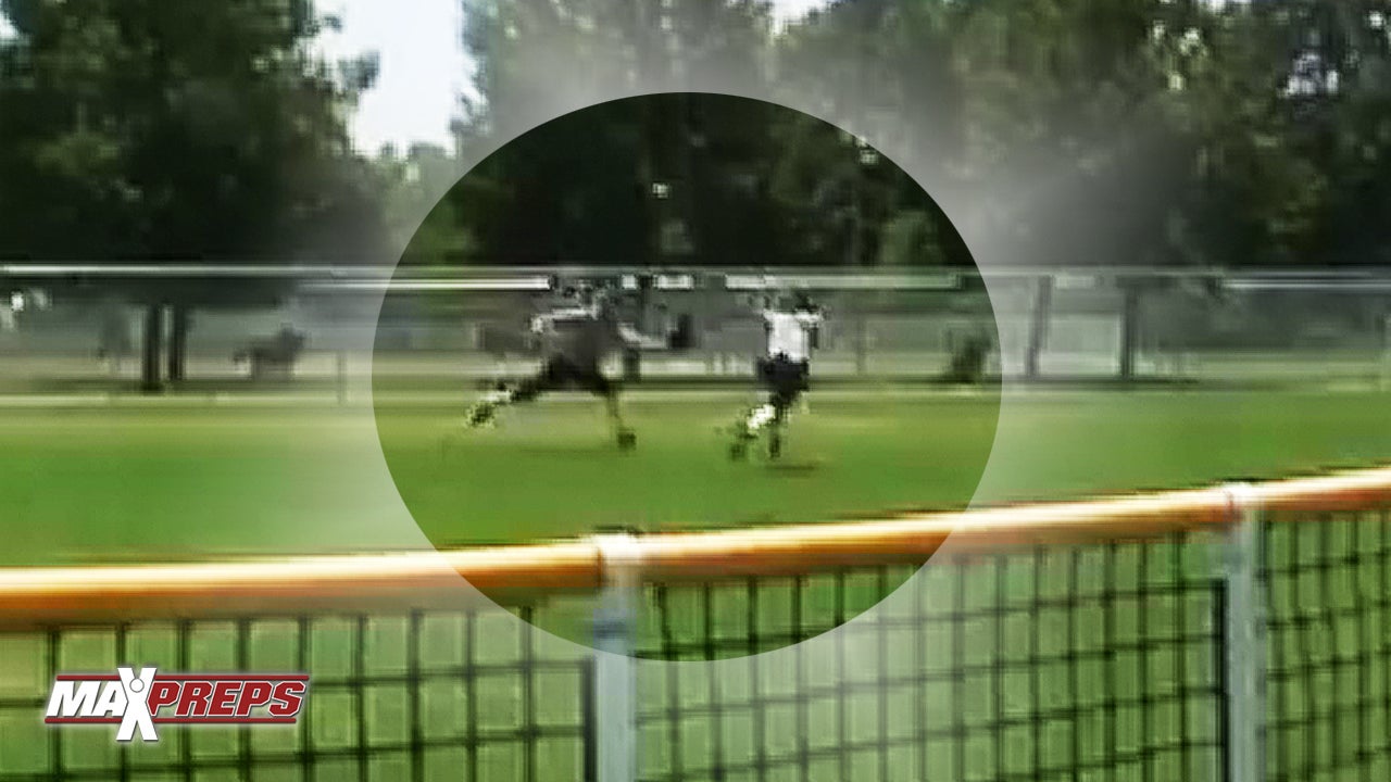 Softball catch through a fence