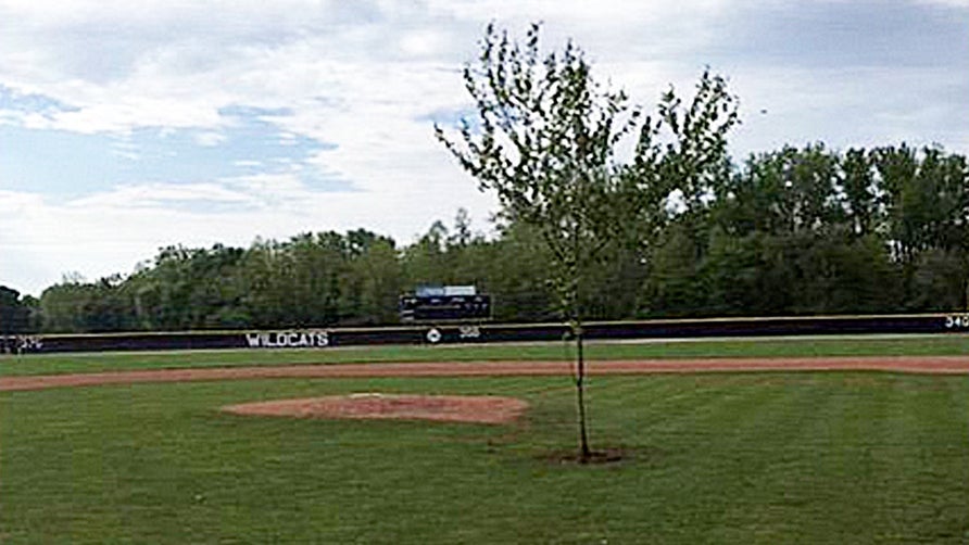 Pranksters plant 25-foot tree between home plate and pitcher's mound