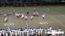 Cypress Bay's QB Jake Balanovich | 2024 Highlights