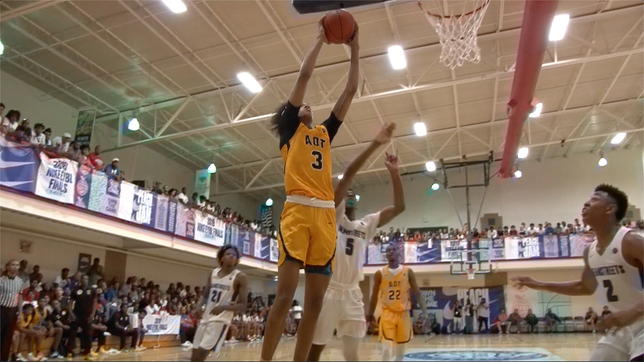 2019 AAU basketball highlights from three of the best players in the 2020 class.