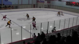 Arrowhead ice hockey highlights vs. Waupun High School