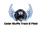 Cedar Bluffs Wildcats Boys Varsity Track & Field Spring 18-19 team photo.