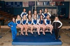 Monticello Billies Girls Varsity Gymnastics Spring 16-17 team photo.