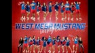 West Mesa Mustangs Co-ed Varsity Cheer Winter 21-22 team photo.