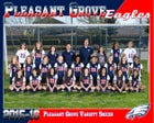Pleasant Grove Eagles Girls Varsity Soccer Spring 15-16 team photo.