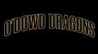 Bishop O'Dowd Dragons Boys Varsity Golf Spring 25-26 team photo.