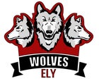 Ely Timberwolves Boys Varsity Cross Country Fall 17-18 team photo.