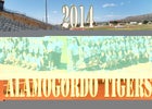 Alamogordo Tigers Girls Varsity Track & Field Spring 13-14 team photo.