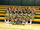 Alma Airedales Co-ed Varsity Cheer Fall 18-19 team photo.