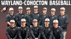 Wayland-Cohocton Eagles Boys Varsity Baseball Spring 25-26 team photo.