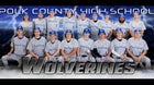 Polk County Wolverines Boys Varsity Baseball Spring 25-26 team photo.