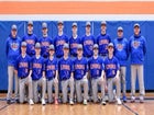 Livonia Bulldogs Boys Varsity Baseball Spring 25-26 team photo.