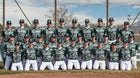 Clearfield Falcons Boys Varsity Baseball Spring 25-26 team photo.