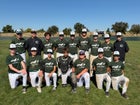 Colfax Falcons Boys Varsity Baseball Spring 25-26 team photo.