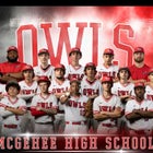 McGehee Owls Boys Varsity Baseball Spring 25-26 team photo.
