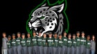 Twentynine Palms Wildcats Boys Varsity Baseball Spring 25-26 team photo.