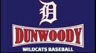 Dunwoody Wildcats Boys Varsity Baseball Spring 25-26 team photo.