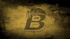 Bonnabel Bruins Boys Varsity Baseball Spring 25-26 team photo.