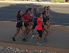 Centennial Hawks Girls Varsity Cross Country Fall 16-17 team photo.